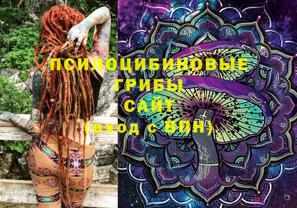 спиды Липки