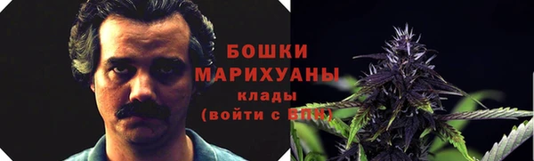 спиды Липки